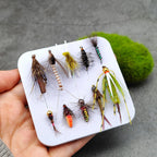 10-Piece Wet Fly Fishing Lures Set for Trout and Bass Variety of Fly Fishing Gear