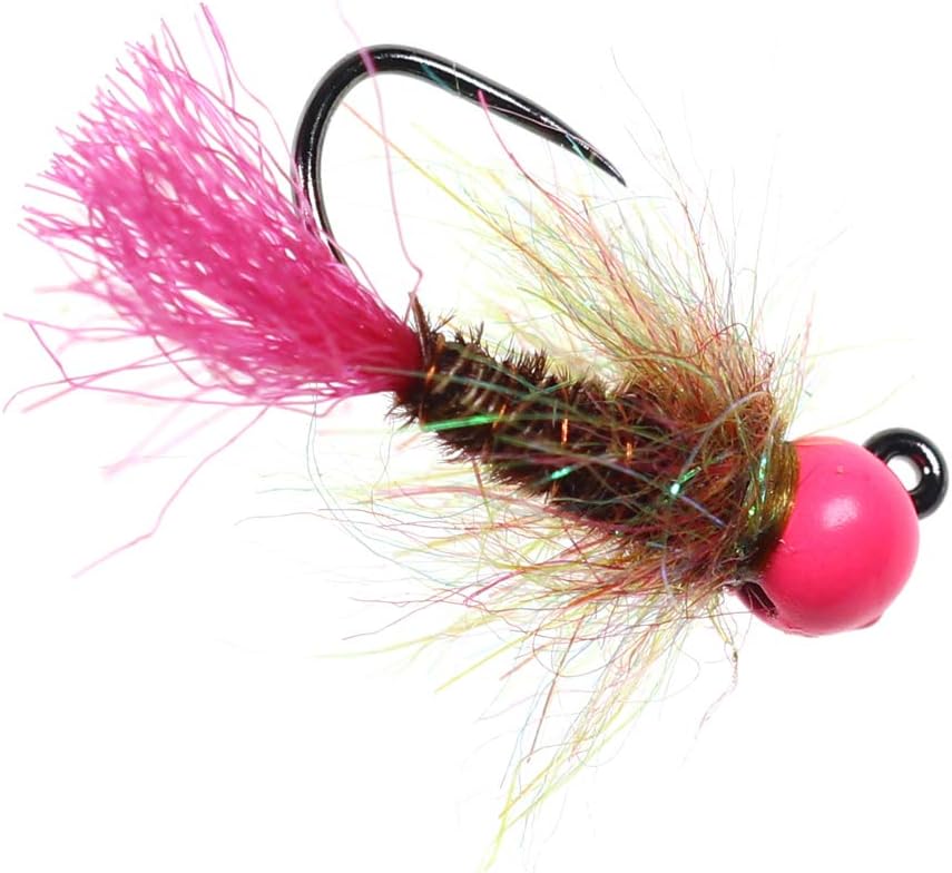 12pcs Tungsten Bead Nymph Jig Fly Assortment Euro Nymphing