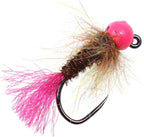 12pcs Tungsten Bead Nymph Jig Fly Assortment Euro Nymphing