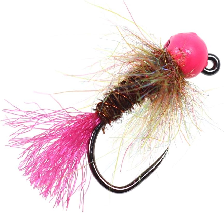 12pcs Tungsten Bead Nymph Jig Fly Assortment Euro Nymphing