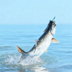 Tarpon Streamers Fly Lures with Stainless Steel Hooks