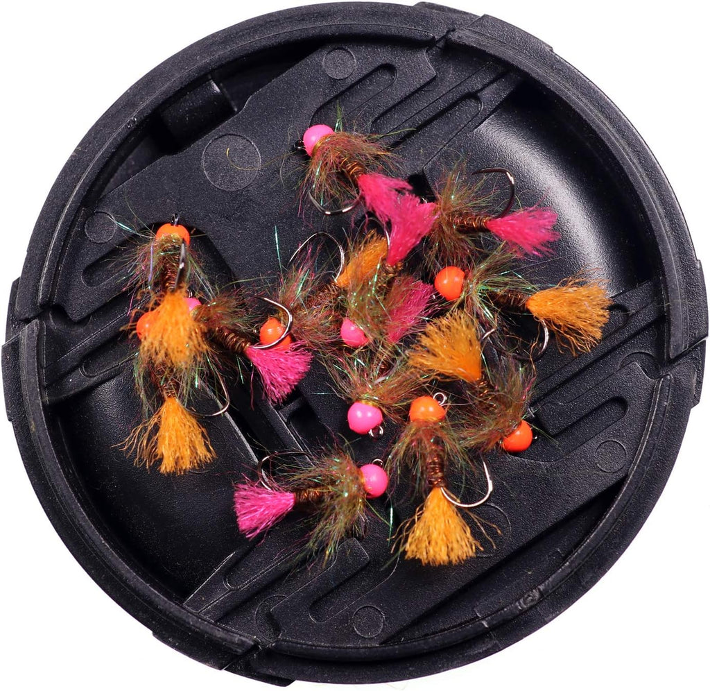 12pcs Tungsten Bead Nymph Jig Fly Assortment Euro Nymphing