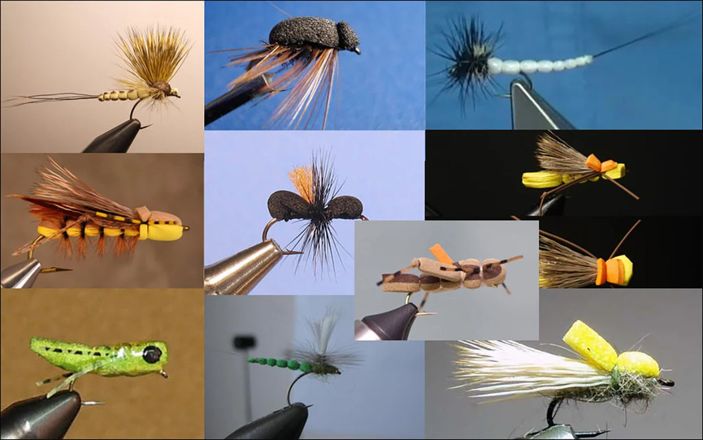 H19592915457e4d219a71a016596f0855S