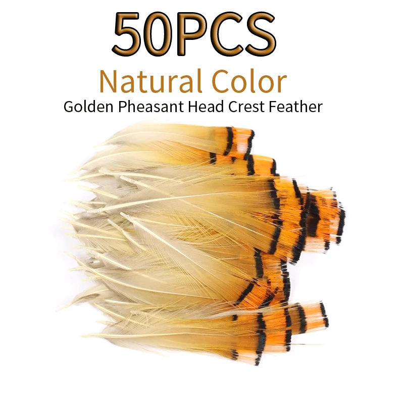 H2ca1ff3011b44119bbecf3f458a53f03p