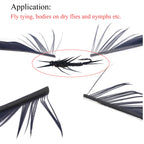 H34fc6474e01c4b78a01ef78e5f4c0677m