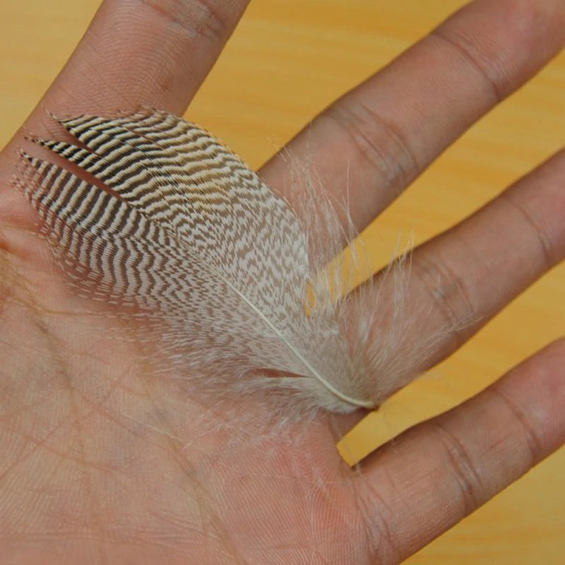 H351531637e6b4e67be74f26953570c8bb