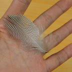 H351531637e6b4e67be74f26953570c8bb