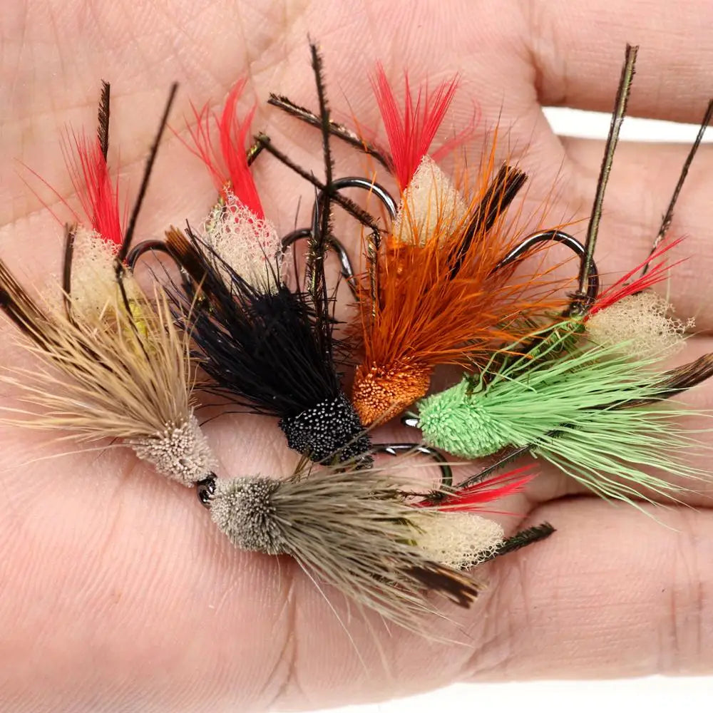 H6c5e6e911b6f43f18a93a1a4a7fcfde4n