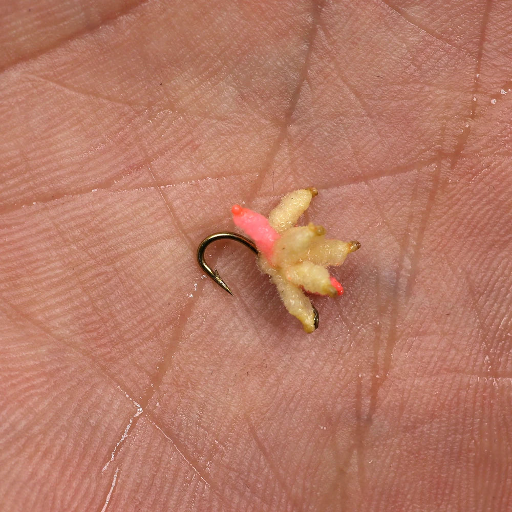 HTB1HB6mM7zoK1RjSZFlq6yi4VXaj