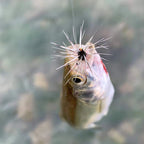 Ha099e41fef8f45deaf0b632e63a59af9t