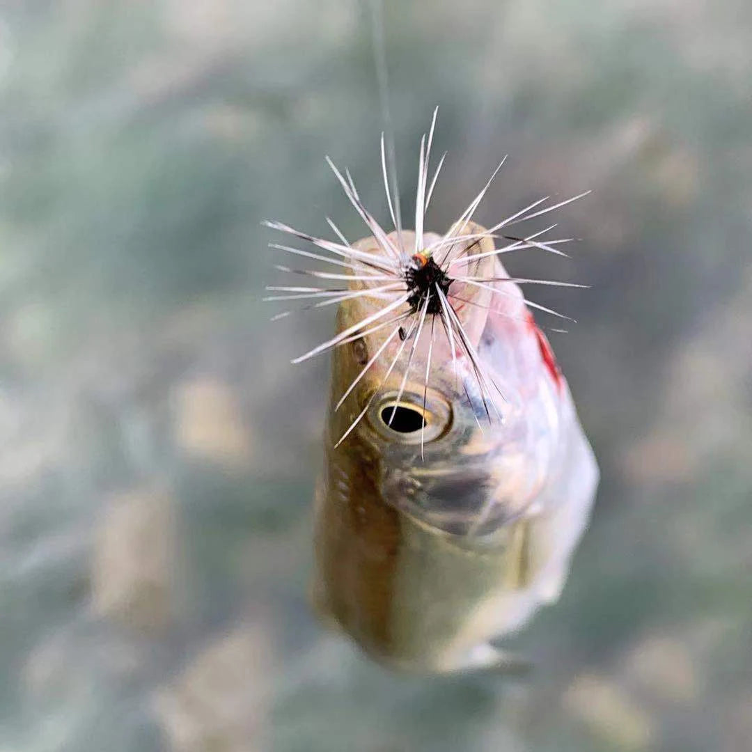 Ha099e41fef8f45deaf0b632e63a59af9t