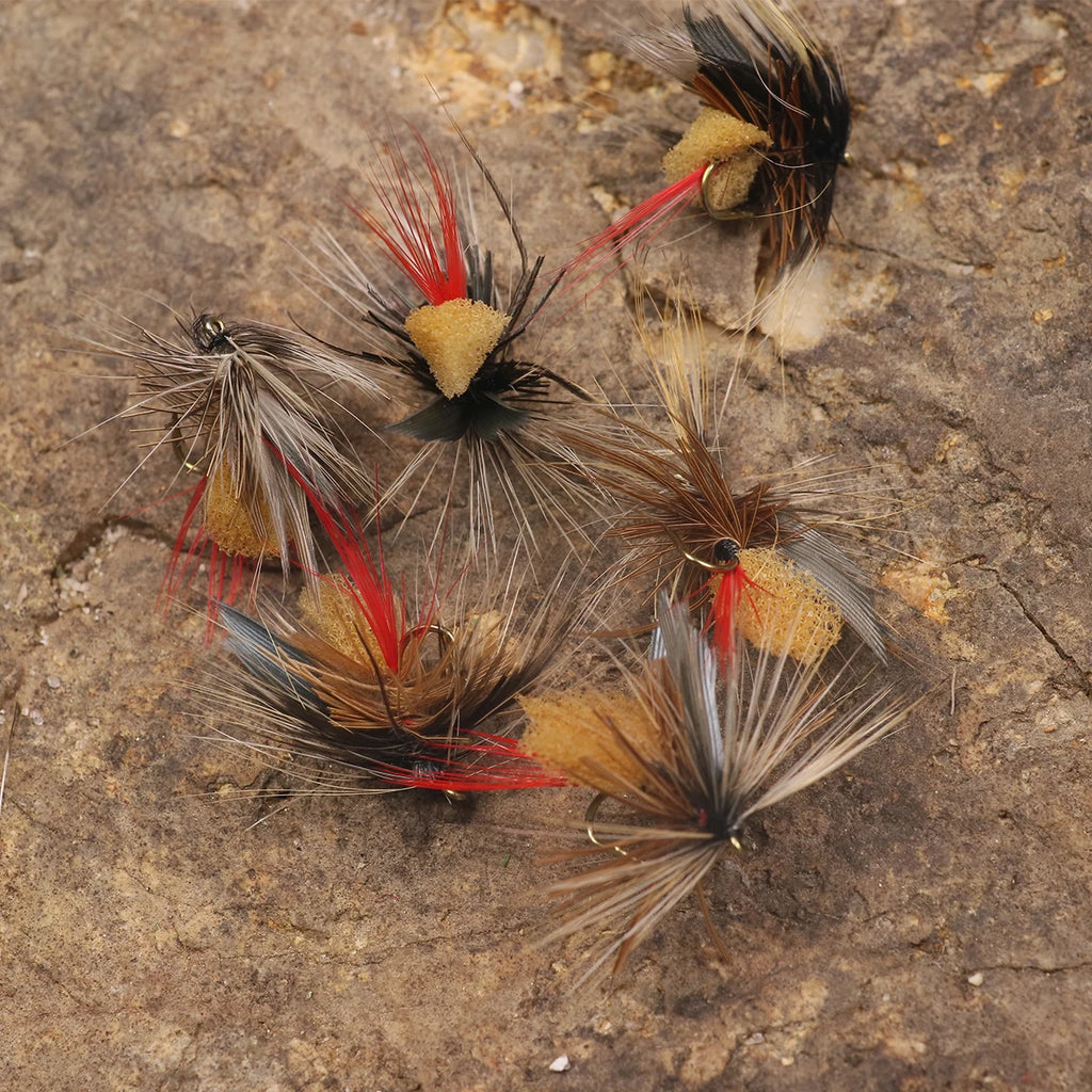 Ha7b273f5db2d47a2930cab8b3434aa9cz