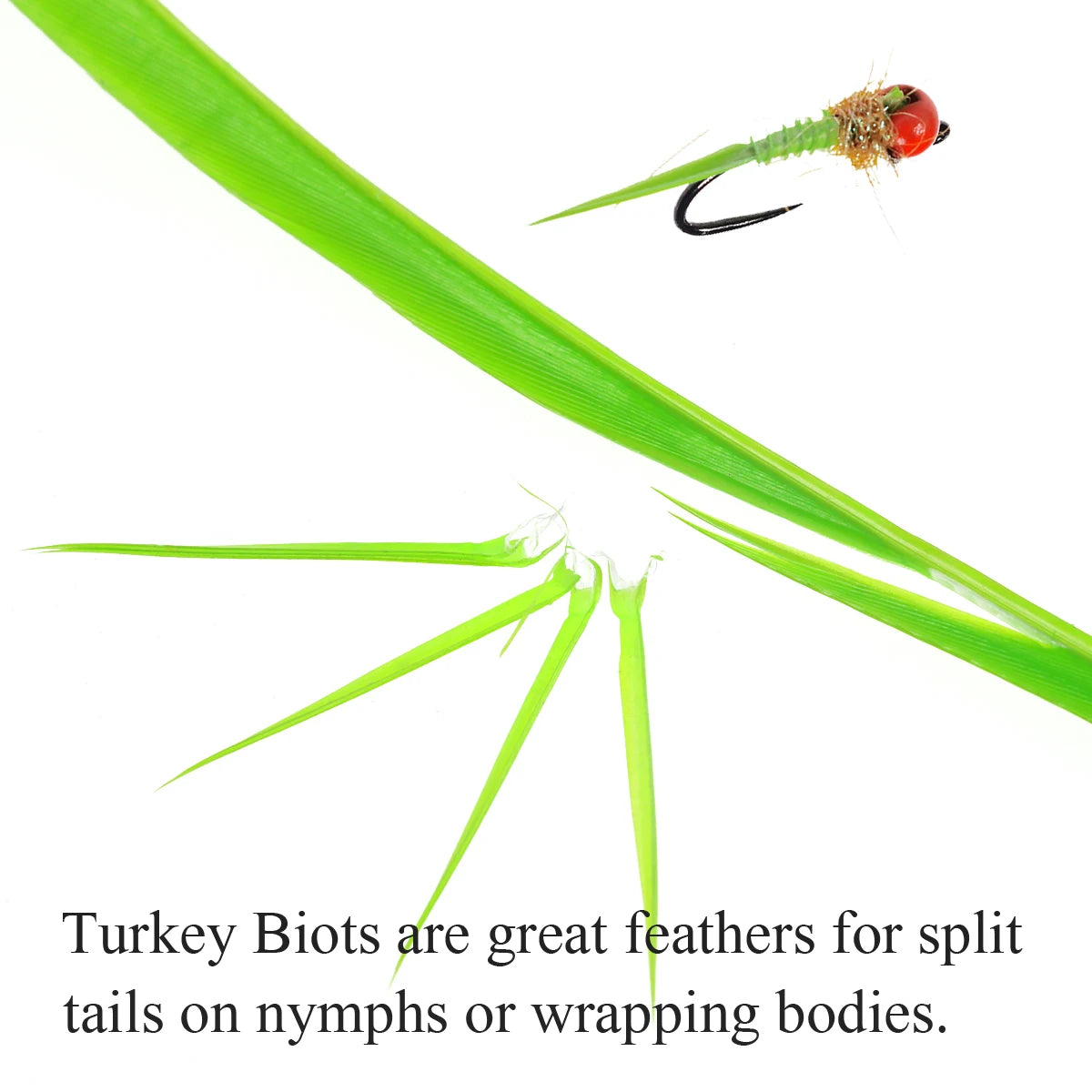 Haa530e45daa04ff3954154765fcc958eH