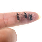 Hb6bae34208b249a4ab9887d011b34465y