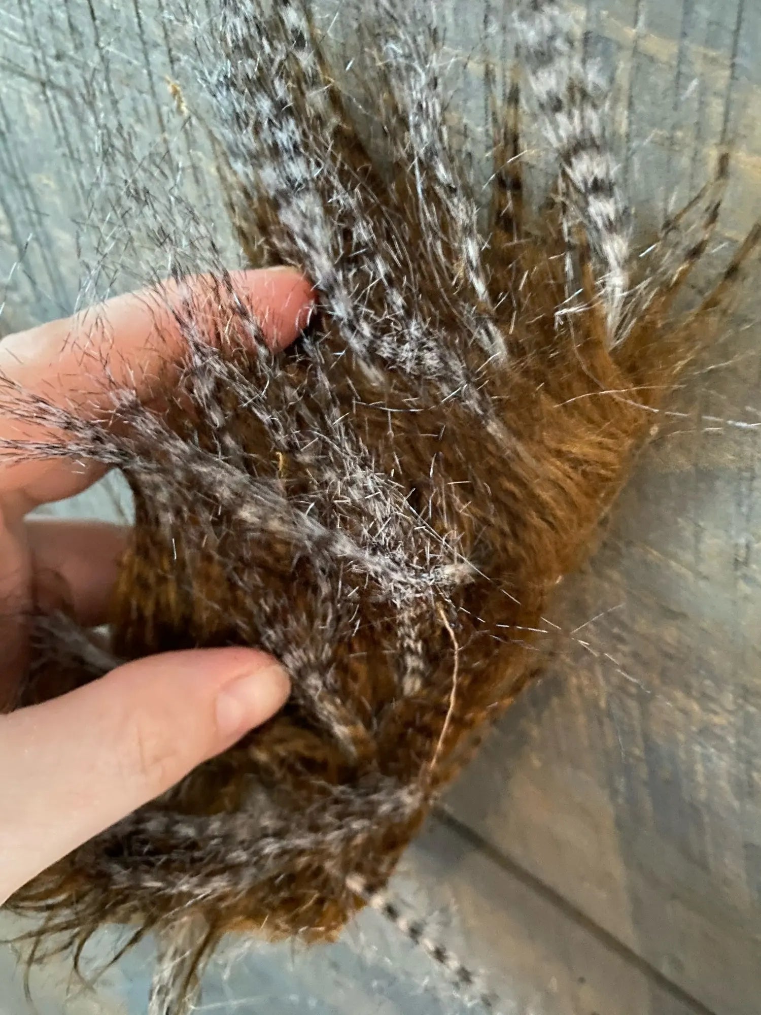 Hd922b9892eaf4192a59c018b2efb4f5a4