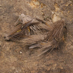 Hdc23e99a58ff4fdeb30a301d479c7dfev