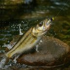 Tungsten Bead Head Wet Nymph Fast Sinking Fly Trout and Bass Fishing Lures 10# River Lake