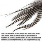 S004f22363a8c4dd9b89306b304a3e84dC