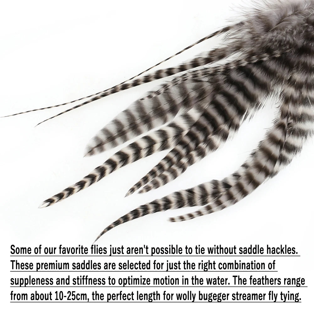 S004f22363a8c4dd9b89306b304a3e84dC