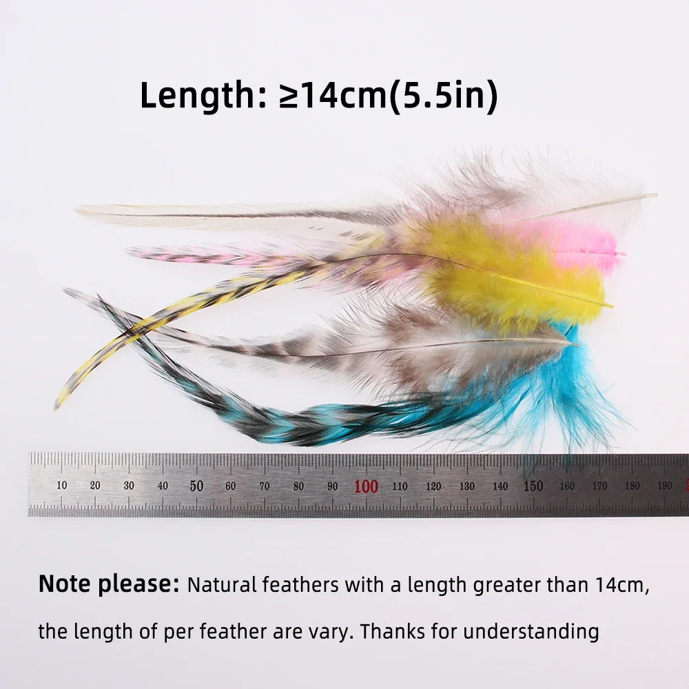 S057ddf9794da49eba8e765d220432748F