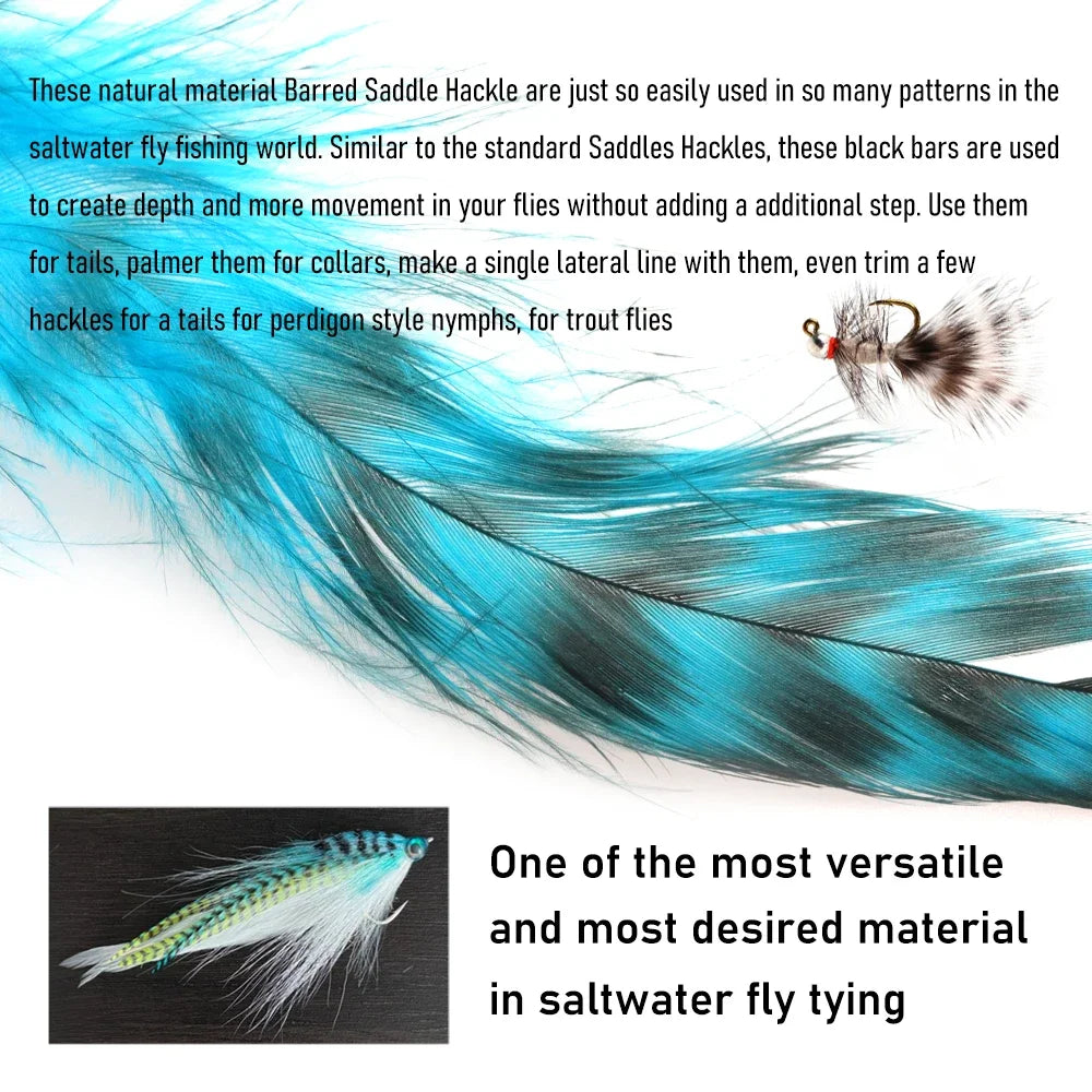 S05a3b497928f4c0b9fd97bfc0dea58389