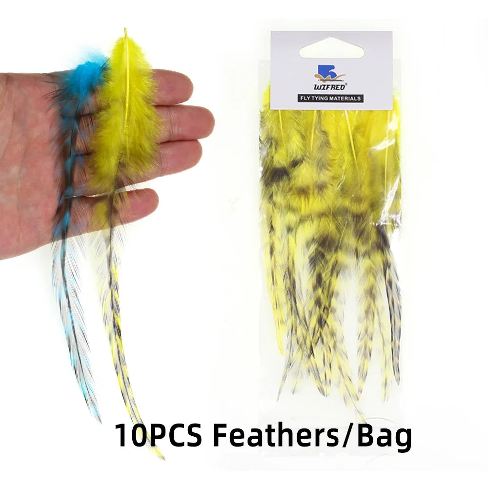 S06d87368ea3245fa89e56a41a3a4b6912