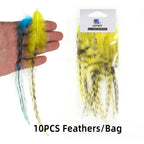 S06d87368ea3245fa89e56a41a3a4b6912