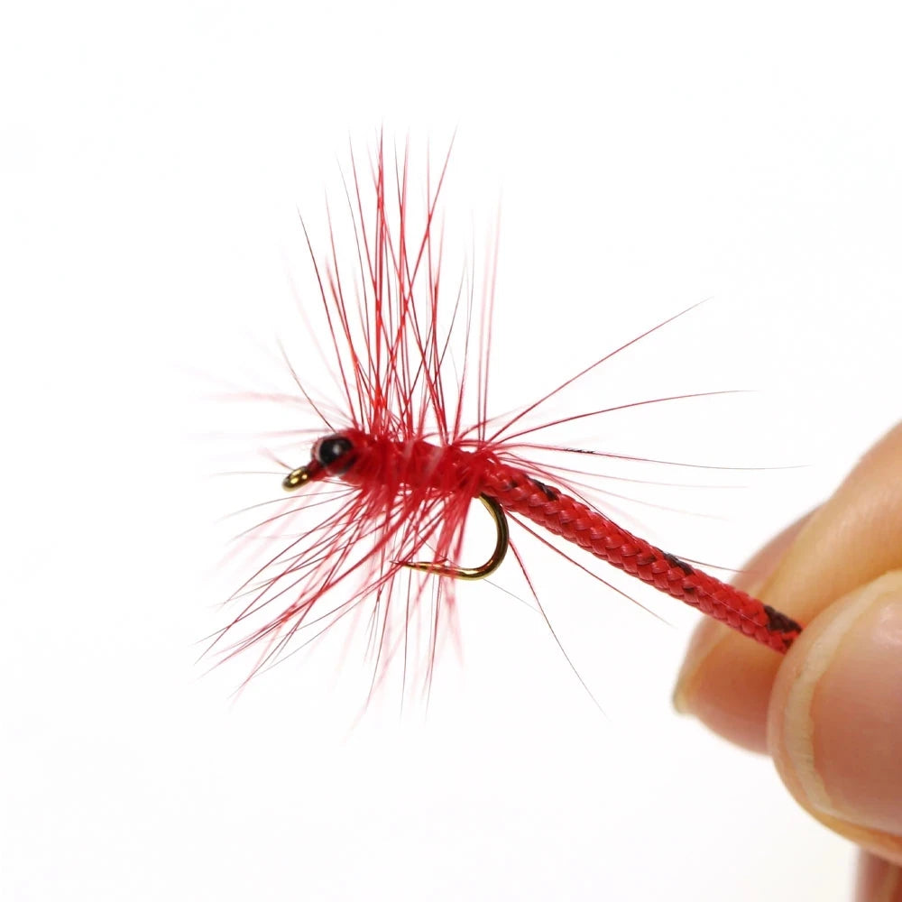 S10560d16074c402780562c1dafd2517b2