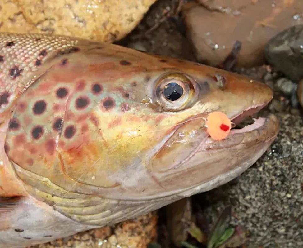 S22317670021241d898ac4cb6c4f51a7b6