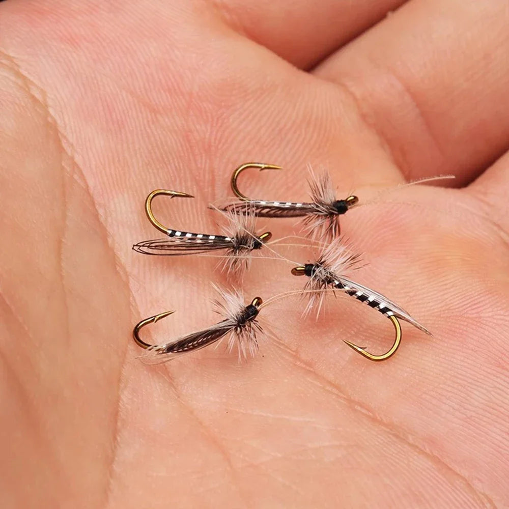 S312731ec34fb48ac90243b70389b58c6T