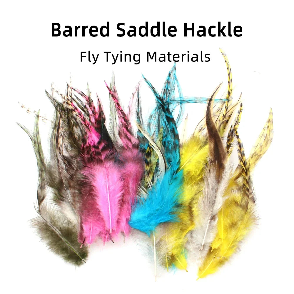 S576218a8f45d4047b56b441f2e937566K