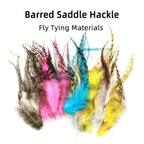 S576218a8f45d4047b56b441f2e937566K