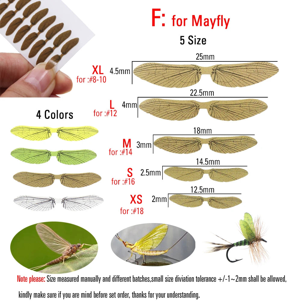 S5c72e5b2f1854cb69754e895bb3a7bafd