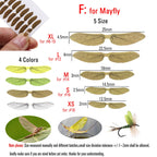 S5c72e5b2f1854cb69754e895bb3a7bafd