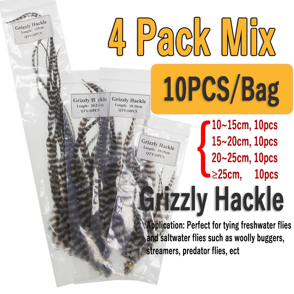 S77cefcd14b684a4ba03b5b7ff477b000K