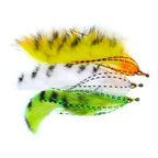 S854db37b75f04fe5820923f0c7ccf09bx