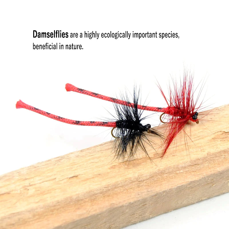 S91d2858ad9364641ad5fe0a0d12fb3bbR