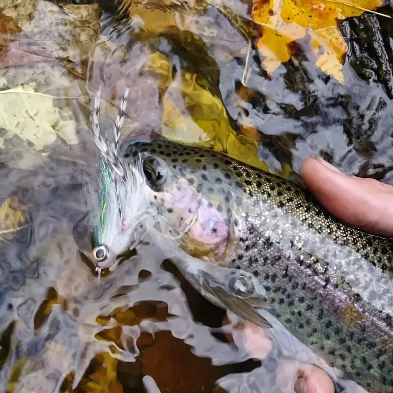 Sc7c9d7afbd2942f9aa480bbb2af3dbafC