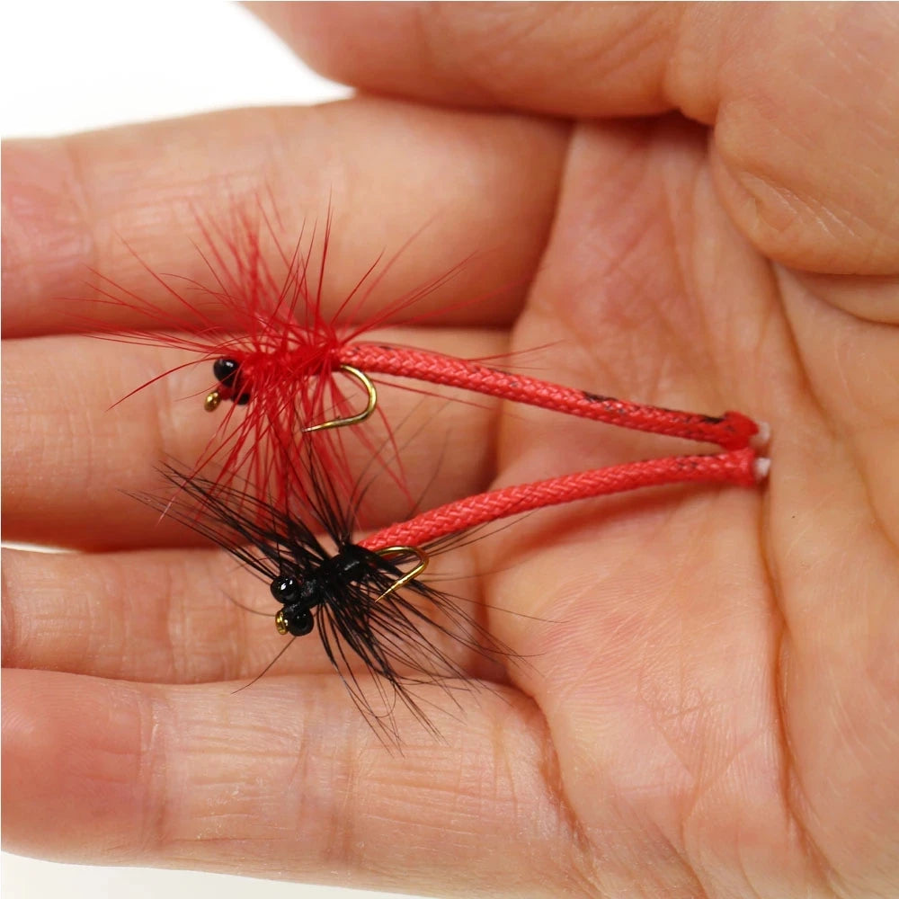 Se18eb906280747839249f8e292673024c