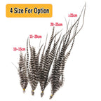 Sf3090ee09e7346a981c98c1403a88c7bT