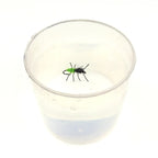 Sfa154199589a4bae8d61b60a83155fdex