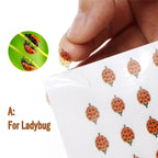 Sfac3117cbc824cf3a1dba1fa0229162ei