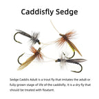 Sfb567d9628f14902a274dcade6a148c3v