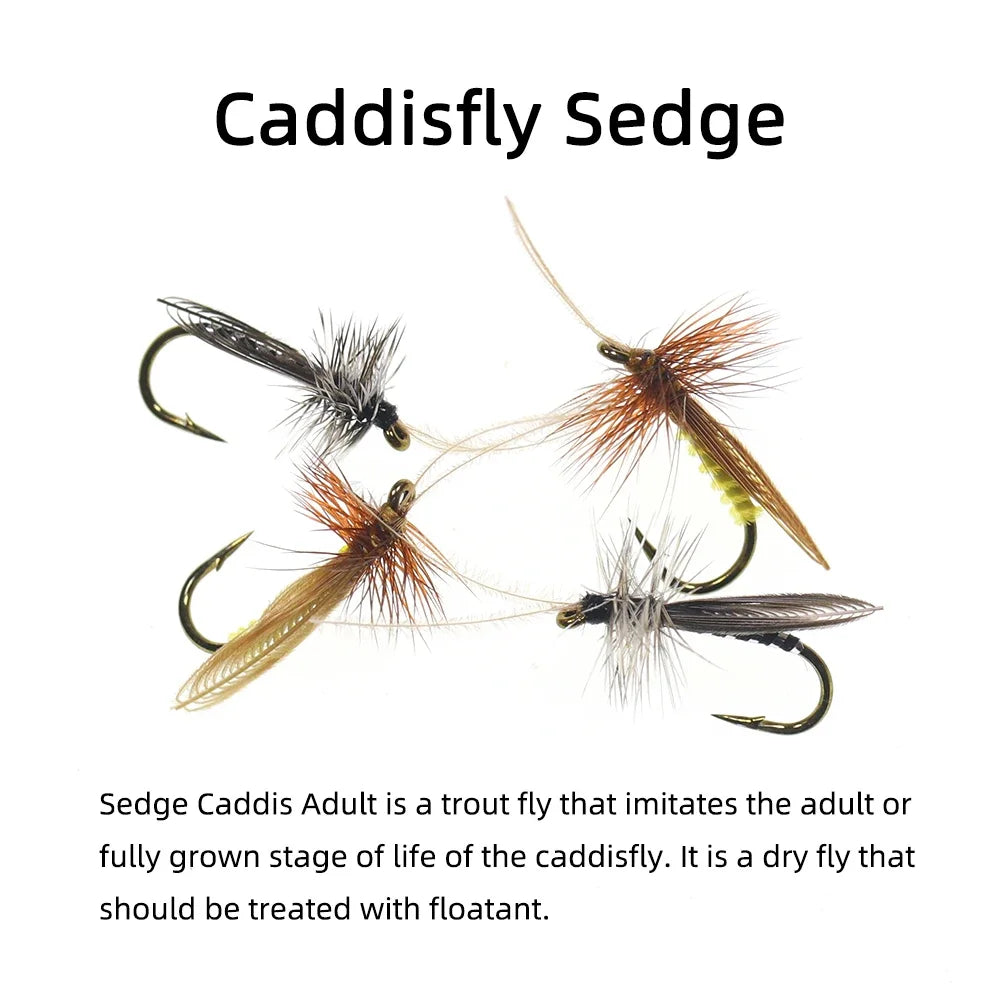 Sfb567d9628f14902a274dcade6a148c3v