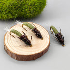Stonefly Nymph Hand-Tied Fly Fishing Artificial Hard Bait Insect Lure for Trout and Bass Rivers Lakes & Streams