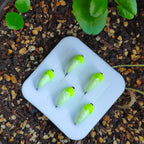 Large Brass Beaded Nymph with Hairy-Legged Flying Caddis Larvae for Ice Fishing Trout & Bluegill Flying Insect Lures Accessory