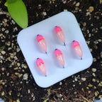 Large Brass Beaded Nymph with Hairy-Legged Flying Caddis Larvae for Ice Fishing Trout & Bluegill Flying Insect Lures Accessory