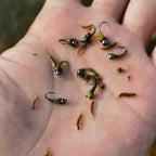 Mottled Offset Tungsten Bead Jig Nymph Fly Barb less Insect Lure Fast Sinking